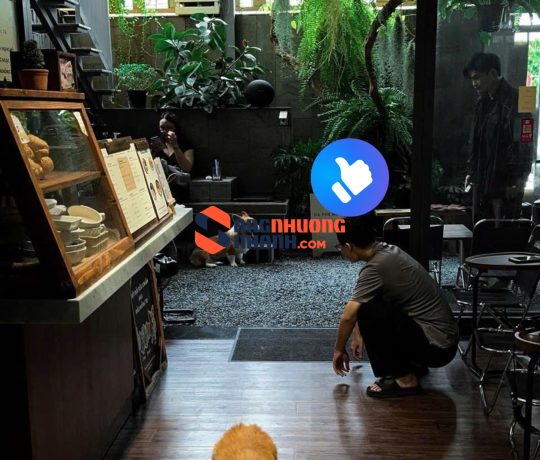 sang quán cafe vintage – Chu Văn An, Bình Thạnh